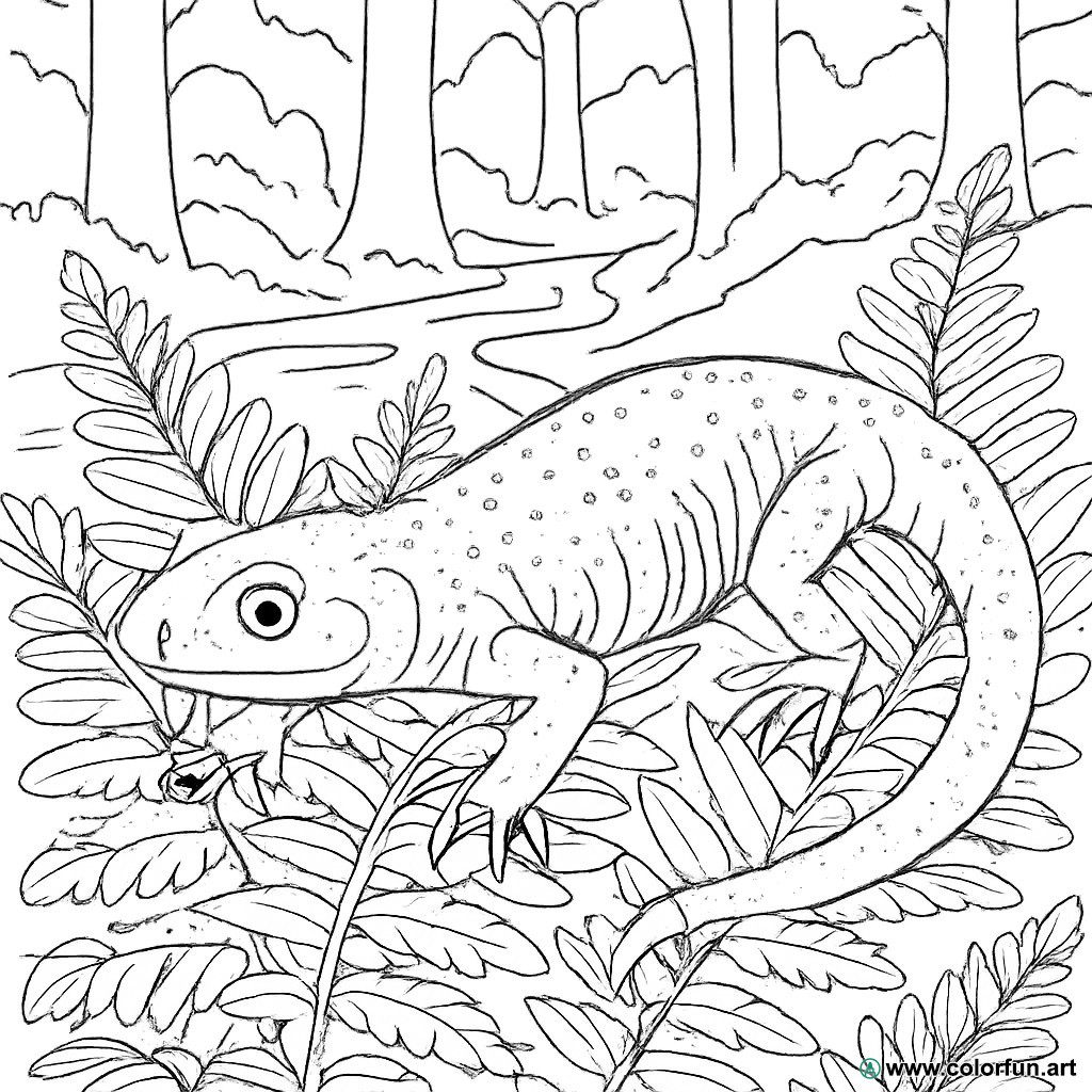 disegno da colorare salamandra realistica