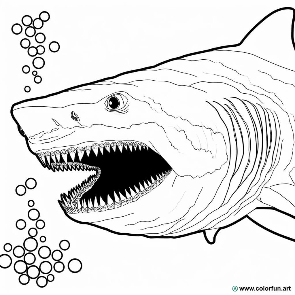 disegno da colorare squalo megalodonte realistico