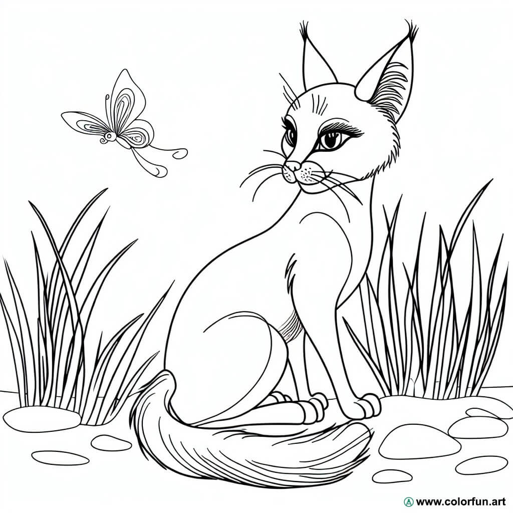 disegno da colorare gatto realistico