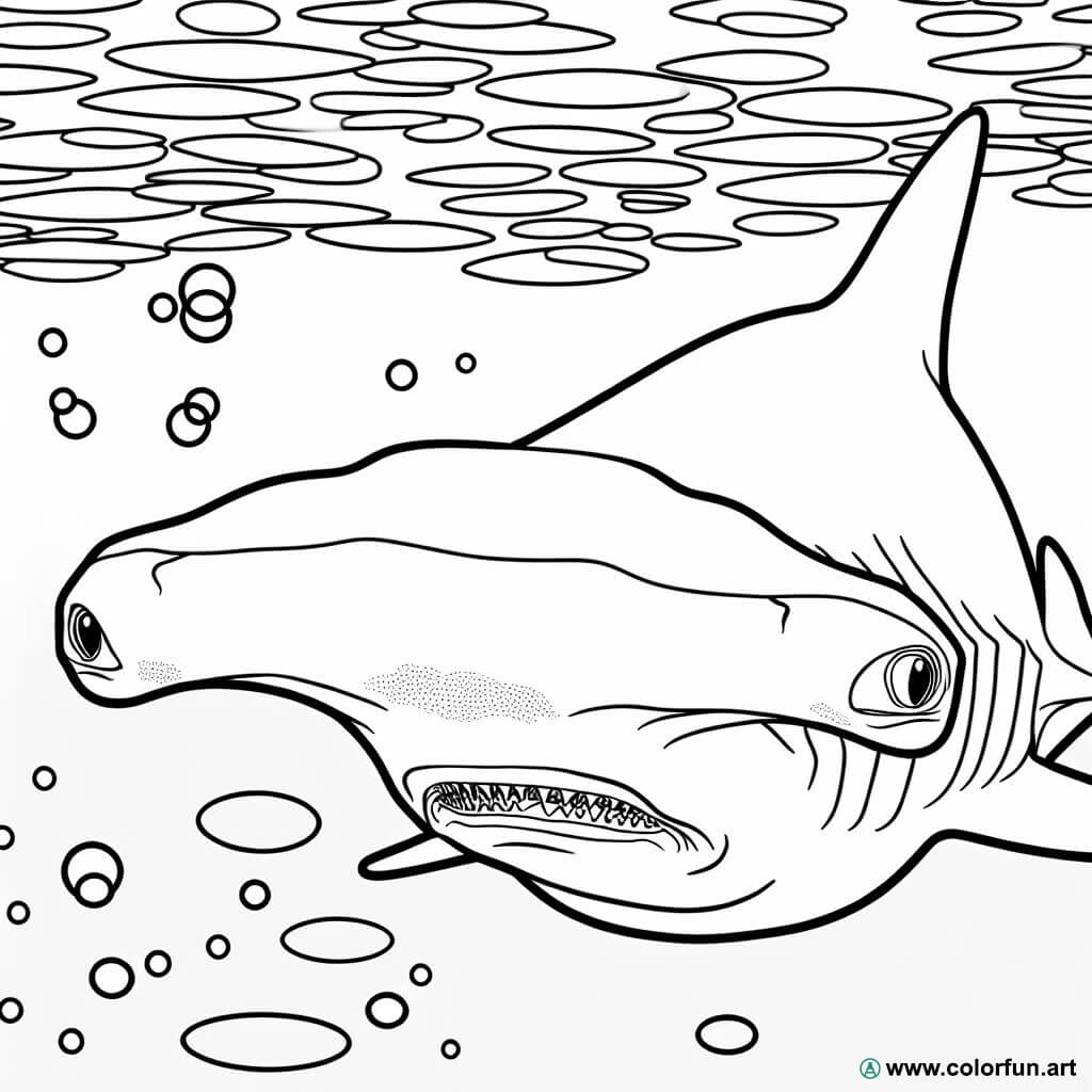 disegno da colorare squalo martello realistico